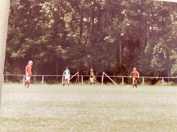 E1980 PUPS 1